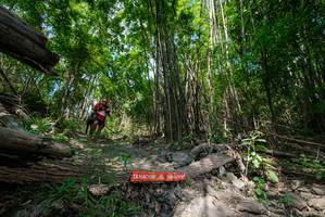 BIB: 
                            <button type="button" onclick="openModal(19394024)" class="btn btn-primary btn-sm float-right btn-popup" data-toggle="modal" data-target=".modal-high-quality">
                        <i class="fas fa-shopping-cart"></i> Add to Cart
                    </button>
                                            <button type="button" onclick="isThisMe(19394024, true)" class="btn btn-success btn-sm float-right btn-popup btn-isme hidden" data-toggle="tooltip" data-placement="bottom" title="นี่คือรูปของคุณใช่ไหม คลิกที่นี่เพื่อเอาเข้าอัลบั้ม">
                        <i class="fas fa-plus"></i> Add to album
                    </button>
                    <button type="button" onclick="isThisMe(19394024, false)" class="btn btn-warning btn-sm float-right btn-popup btn-isnotme hidden">
                        <i class="fas fa-ban"></i> Remove from album
                    </button>